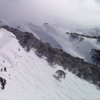 Natural Snow Depth about to reach 1 metre