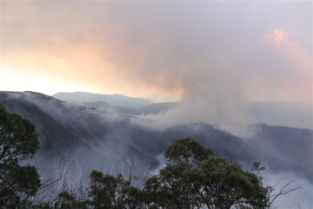 February Fires update