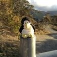 Waiting for snow!