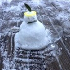 We now have a light dusting and just look what popped up on the balcony
