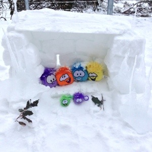 10cm overnight !!