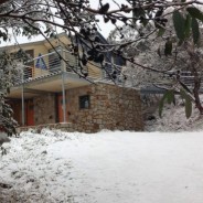 Snow at Hotham today!!!!!!!!