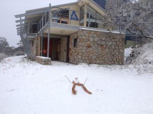 Little snowman celebrating our recent snow