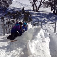 Friday 15th JULY 2016. We have enough snow on APEA balcony to construct an elephant!